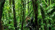 اليوم.. يعرض صائد الجوائز«مونوز» بمهرجان القاهرة