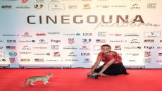 كوميديا بشرى مع قطة على الريد كاربت في الجونة