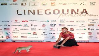 كوميديا بشرى مع قطة على الريد كاربت في الجونة